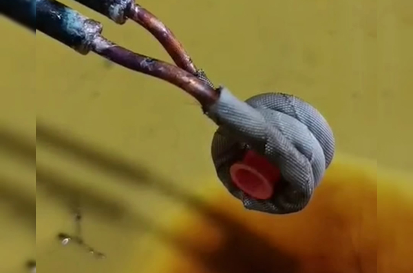 ���l�ӟ᲻С��׃늴ŏ���