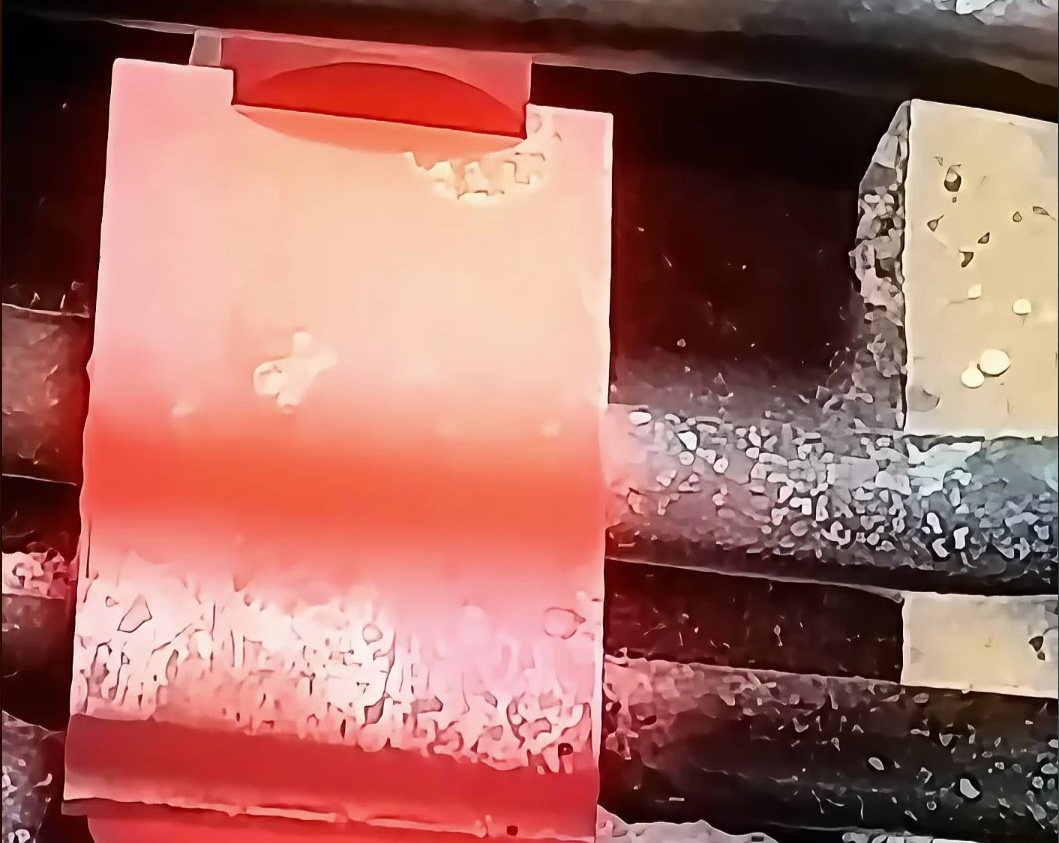 202603111643122017.jpg 202603111643122017.jpg